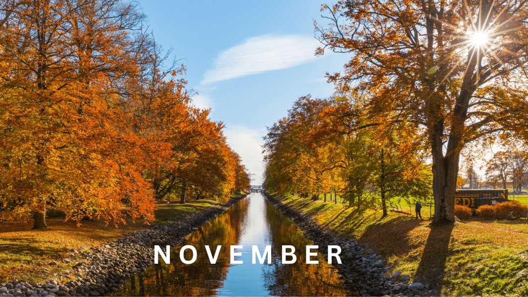 Newsletter November