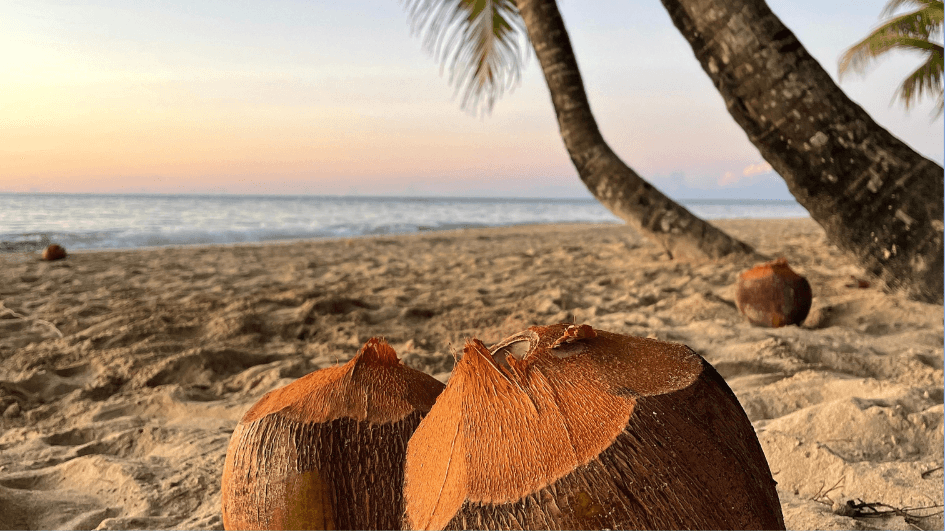 Newsletter August