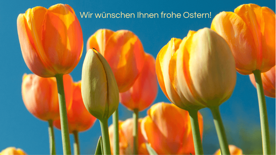 Newsletter April 2026