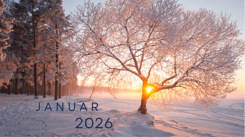 Newsletter Januar 2026
